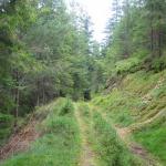 Granittrail 010.jpg