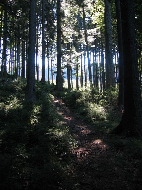 Granittrail 022.jpg