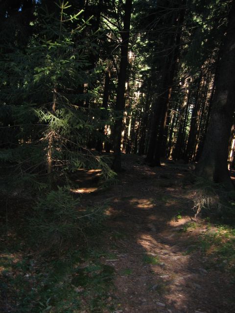 Granittrail 023.jpg