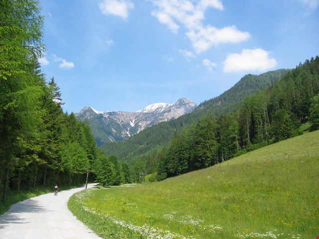 IMG_7367.JPG