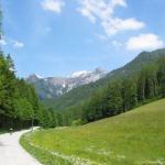 IMG_7367.JPG