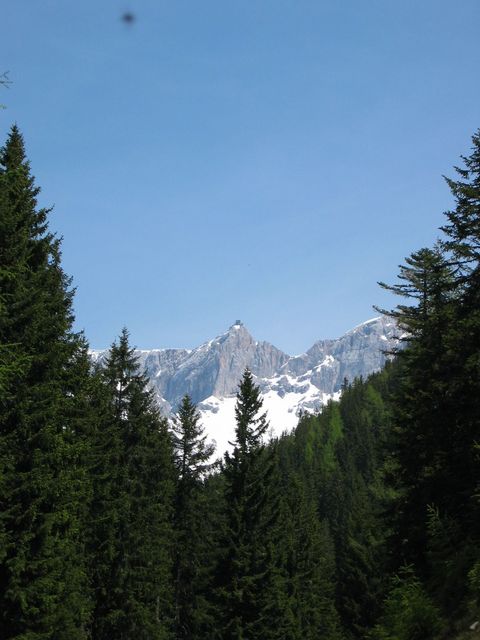 IMG_7368_2.jpg