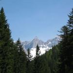 IMG_7368_2.jpg