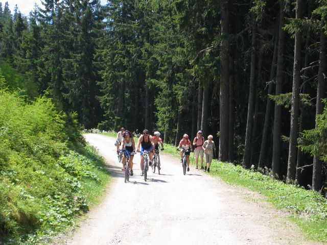 IMG_7373.JPG