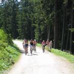 IMG_7373.JPG