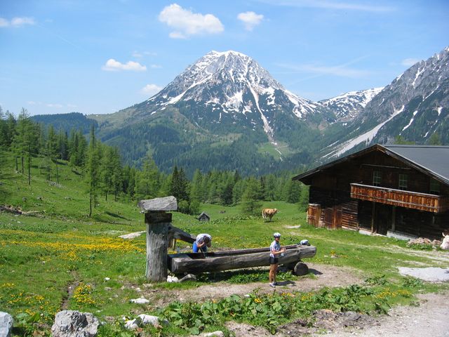 IMG_7384.JPG