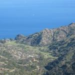 Los Angeles 2006 018.jpg