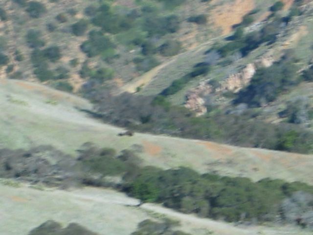 Los Angeles 2006 019.jpg