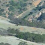 Los Angeles 2006 019.jpg