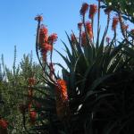 Los Angeles 2006 024.jpg