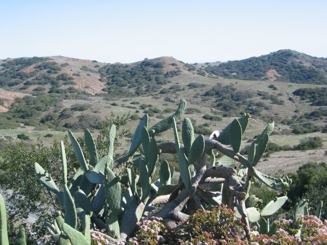 Los Angeles 2006 027.jpg