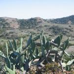 Los Angeles 2006 027.jpg