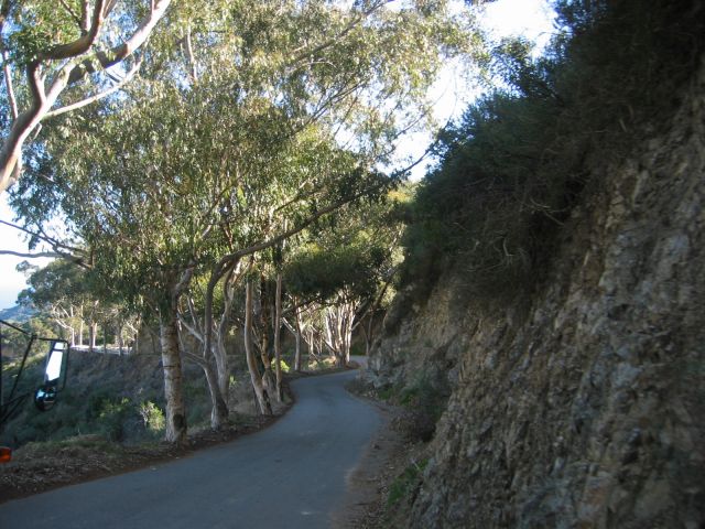 Los Angeles 2006 030.jpg