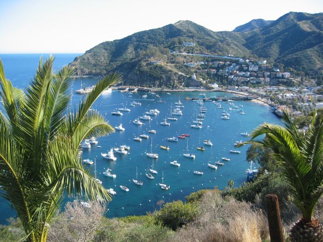 Los Angeles 2006 031.jpg