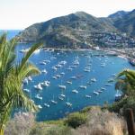 Los Angeles 2006 031.jpg