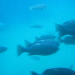 Los Angeles 2006 042.jpg