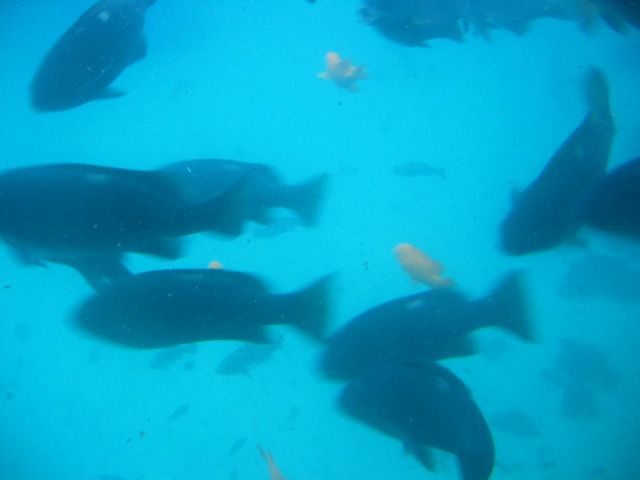 Los Angeles 2006 045.jpg