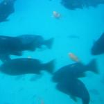 Los Angeles 2006 045.jpg