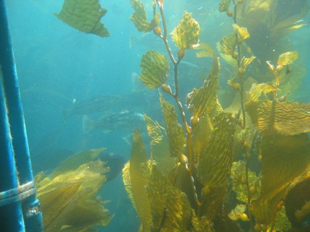 Los Angeles 2006 050.jpg