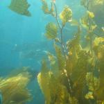 Los Angeles 2006 050.jpg