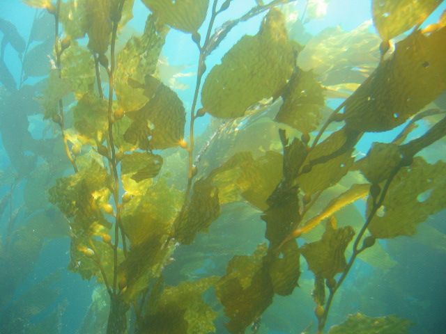 Los Angeles 2006 051.jpg