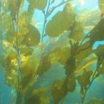 Los Angeles 2006 051.jpg