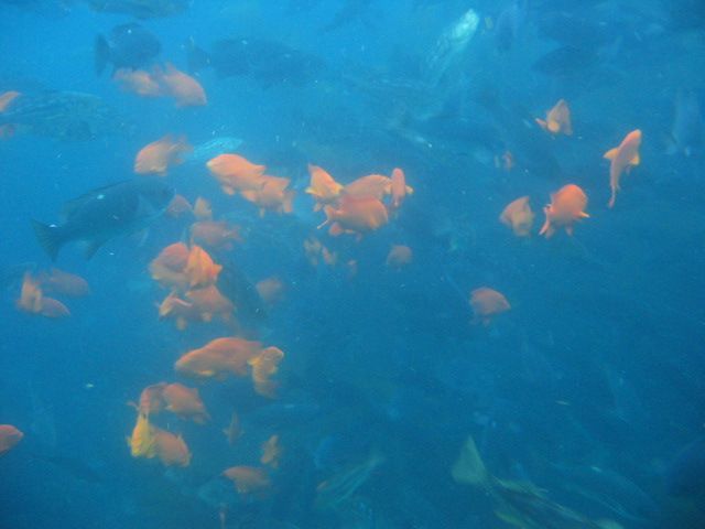 Los Angeles 2006 057.jpg