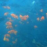 Los Angeles 2006 057.jpg