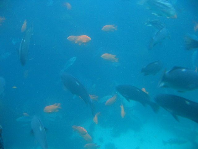 Los Angeles 2006 059.jpg