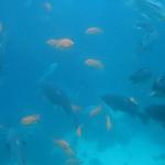 Los Angeles 2006 059.jpg