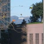 Los Angeles 2006 075.jpg