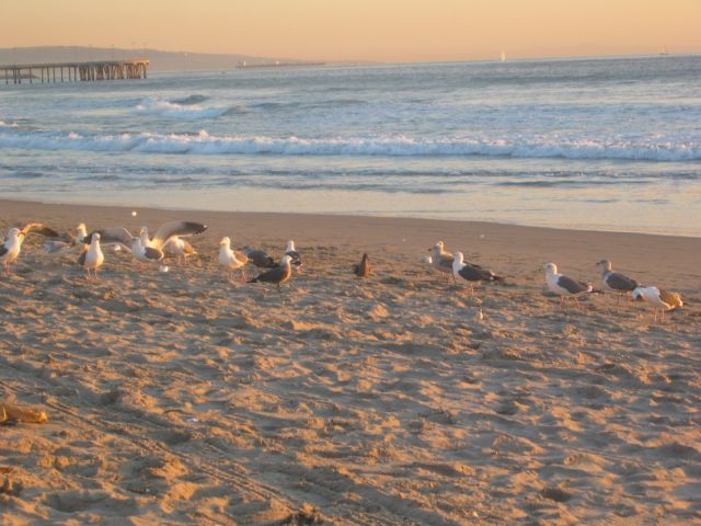 Los Angeles 2006 130.jpg