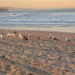 Los Angeles 2006 130.jpg