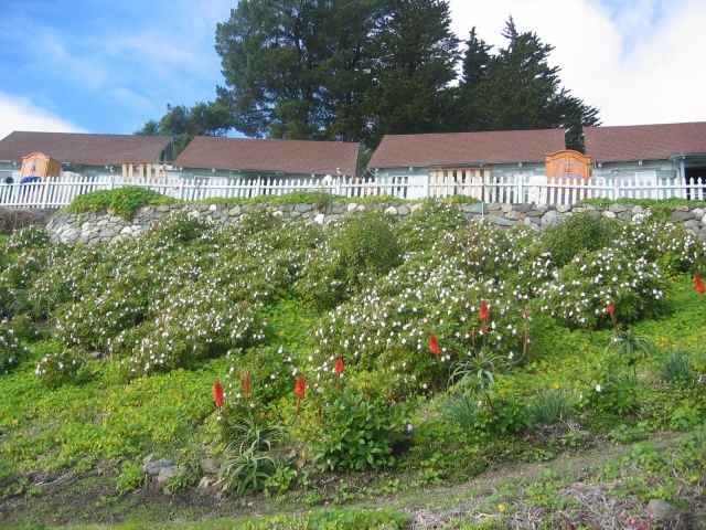 Los Angeles 2006 198.jpg