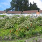 Los Angeles 2006 198.jpg