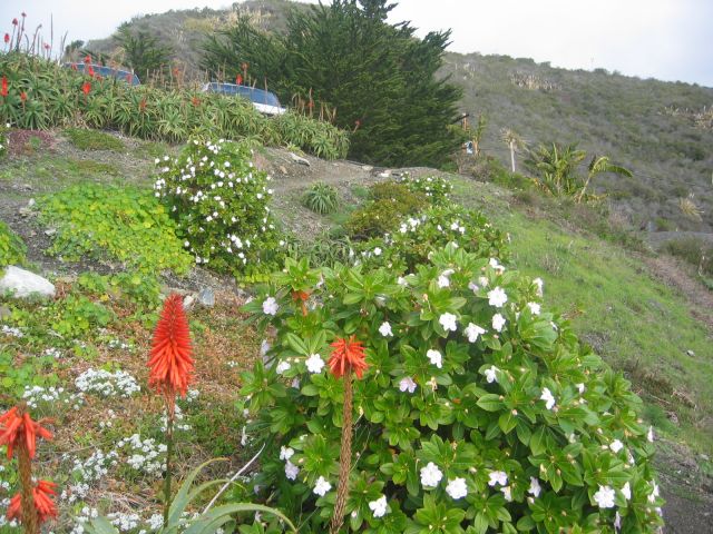 Los Angeles 2006 200.jpg