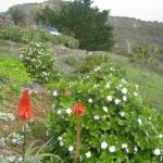 Los Angeles 2006 200.jpg