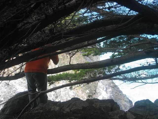 Los Angeles 2006 211.jpg