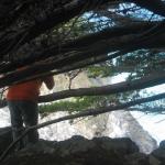 Los Angeles 2006 211.jpg