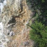 Los Angeles 2006 221.jpg