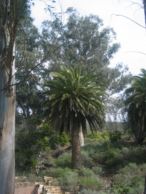 Los Angeles 2006 223.jpg