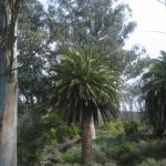 Los Angeles 2006 223.jpg