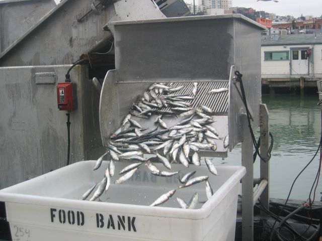 Los Angeles 2006 302.jpg