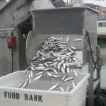 Los Angeles 2006 302.jpg