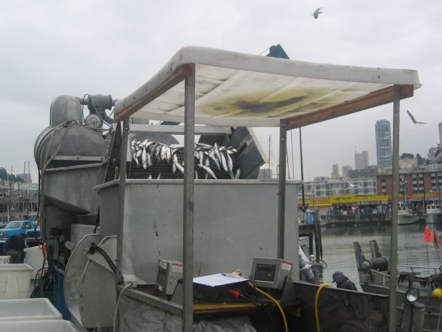 Los Angeles 2006 303.jpg