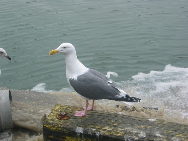 Los Angeles 2006 304.jpg