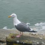 Los Angeles 2006 304.jpg