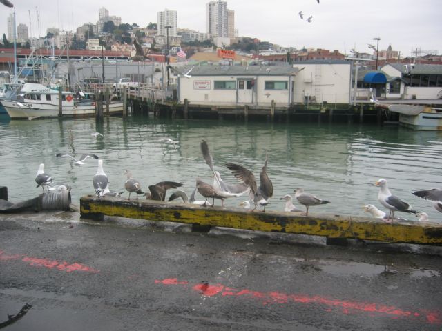 Los Angeles 2006 305.jpg