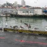 Los Angeles 2006 305.jpg