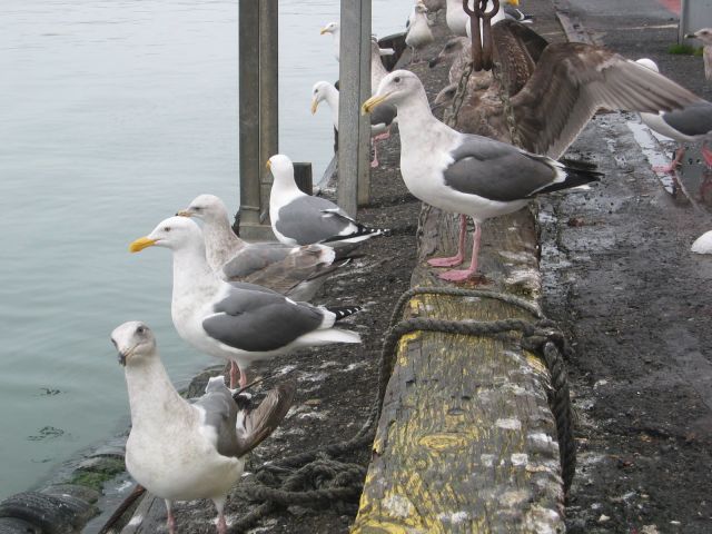 Los Angeles 2006 306.jpg